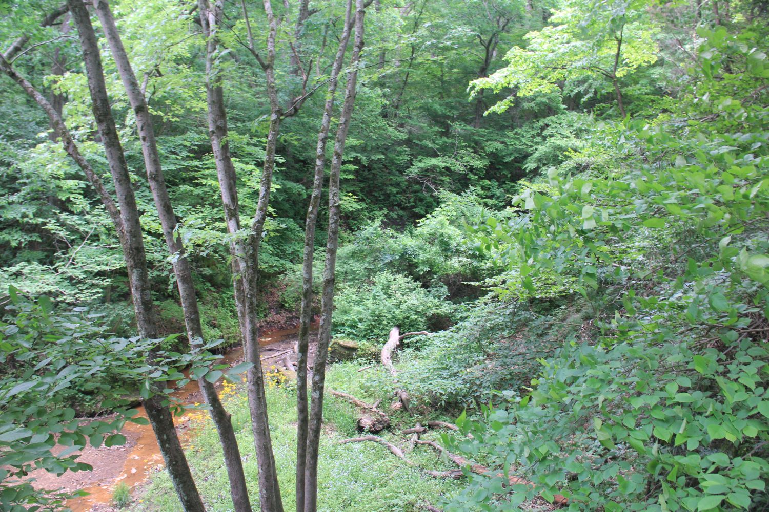 Starved Rock 